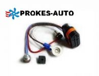Harness with sensors D5WS 252126 MB 251942012000