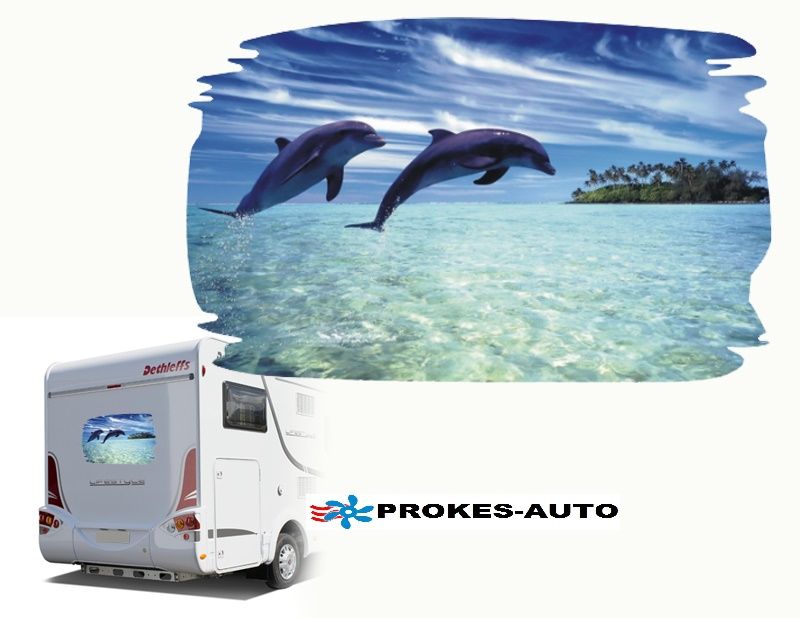 Caravan sticker DELFIN 800 x 500 mm PROKES-AUTO