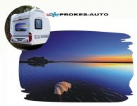 Caravan sticker SEASHELL 800 x 500 mm