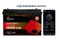 LiFePO4 battery OLALITIO Bluetooth Smart BMS 12,8V 100Ah 1280Wh OLA-12-100