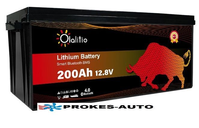 Lithium Batterie Bluetooth 200Ah, 1.218,00 €
